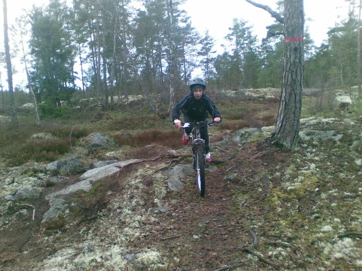 20080316005.jpg ht=544