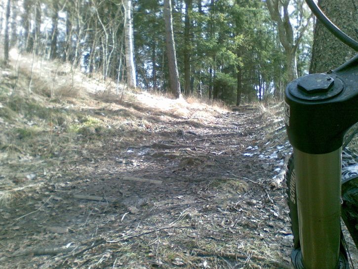 20080321003.jpg ht=544