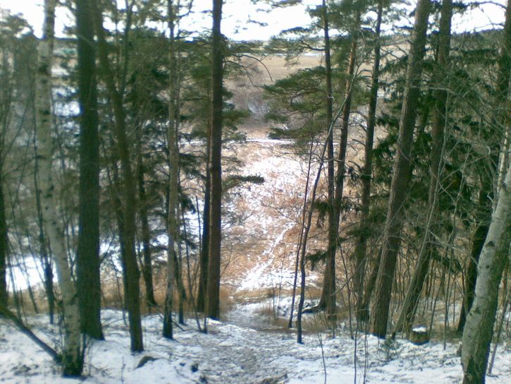 20080323006.jpg ht=544