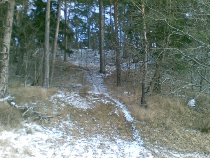 20080323007.jpg ht=544