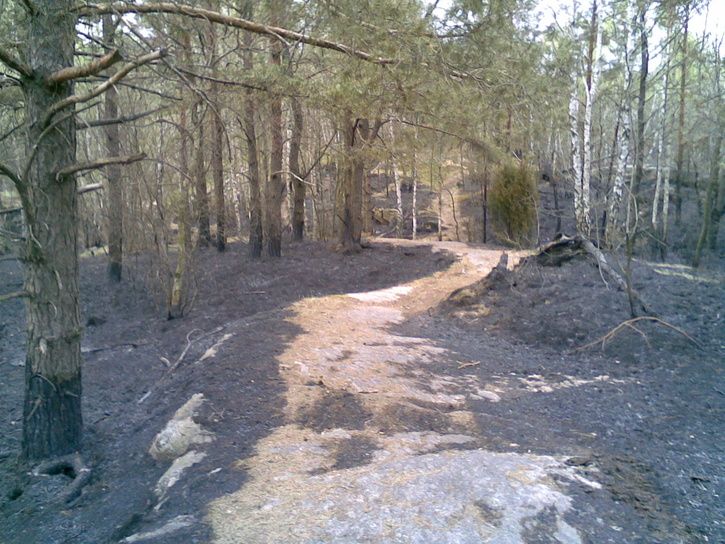 20080430.jpg ht=544