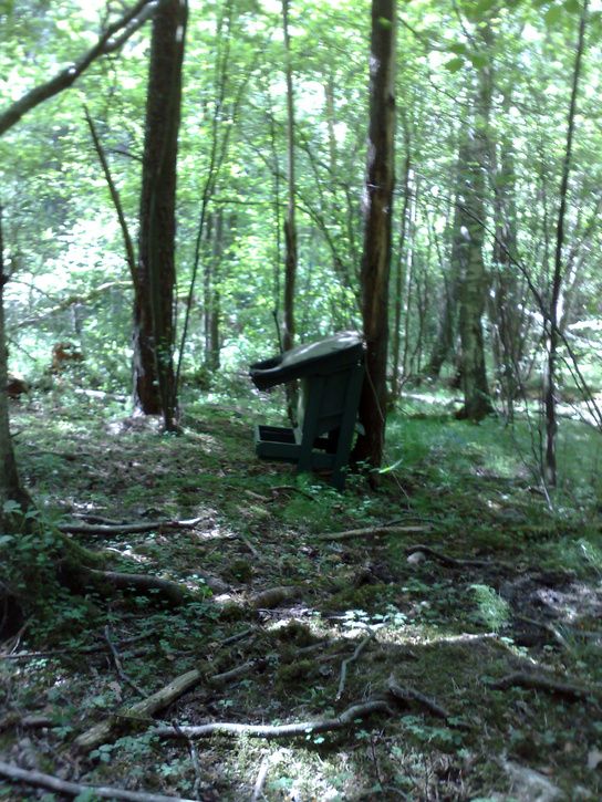 20080531106.jpg ht=725