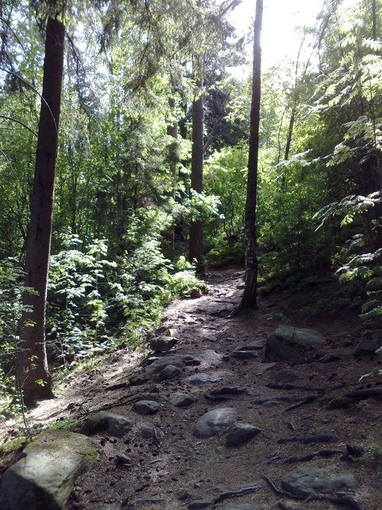 20080531111.jpg ht=725