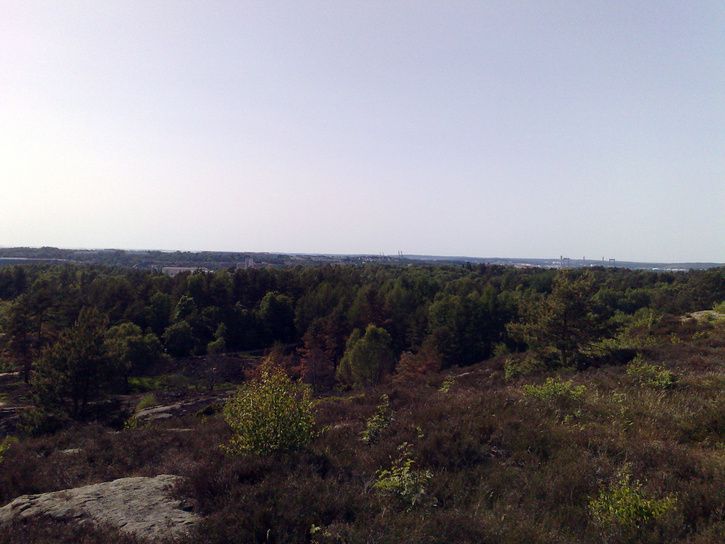 20080531115.jpg ht=544