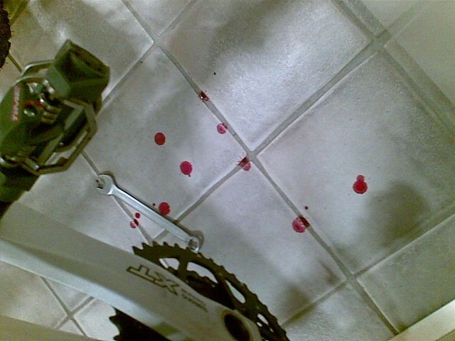 20080713002.jpg ht=480