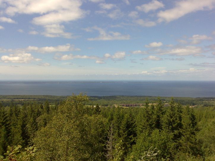 200807141069.jpg ht=544