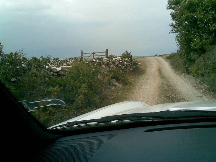 20080803006.jpg ht=544