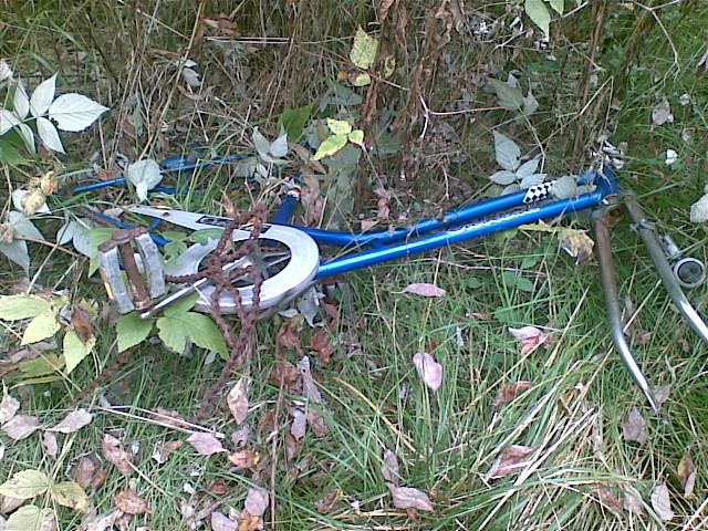 20080913.jpg ht=480
