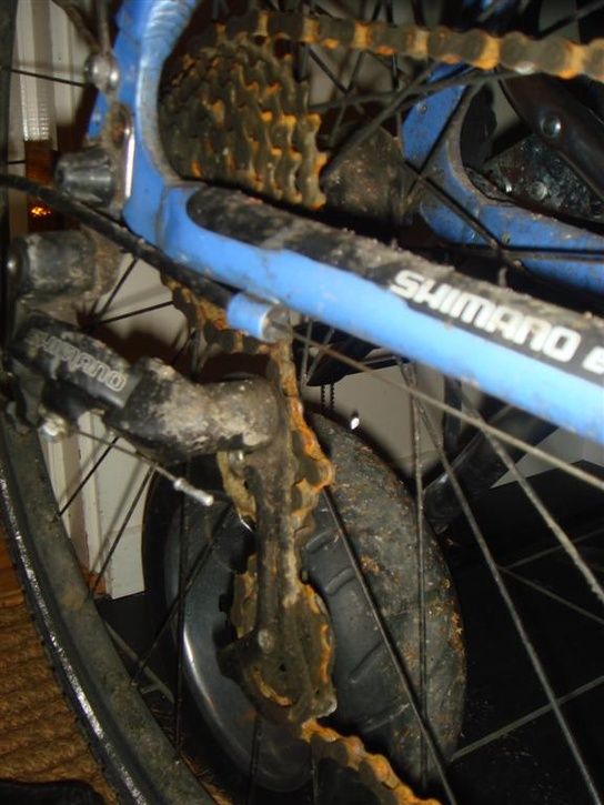 200811013Large.jpg ht=725