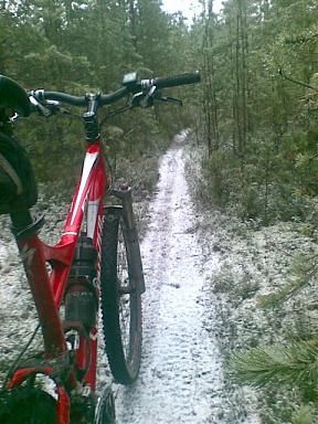 20081115003s.JPG ht=384
