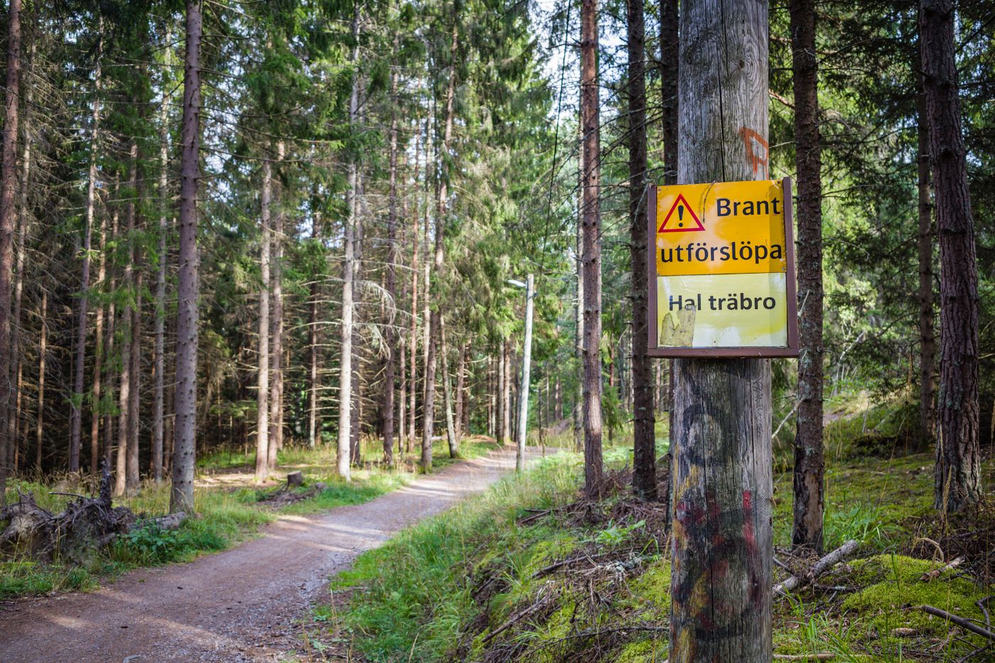 2008_tullinge_001.jpg