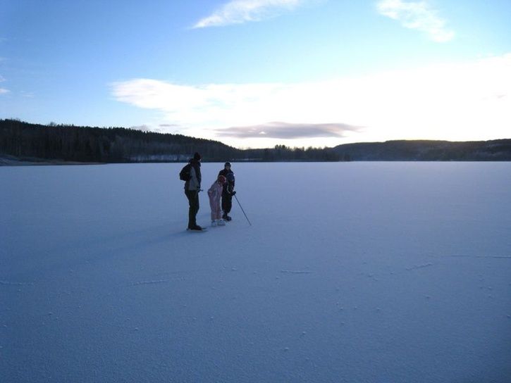20090103-006800x600.jpg ht=544