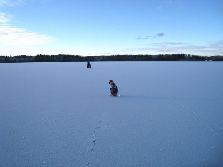 20090103-007800x600.jpg ht=544
