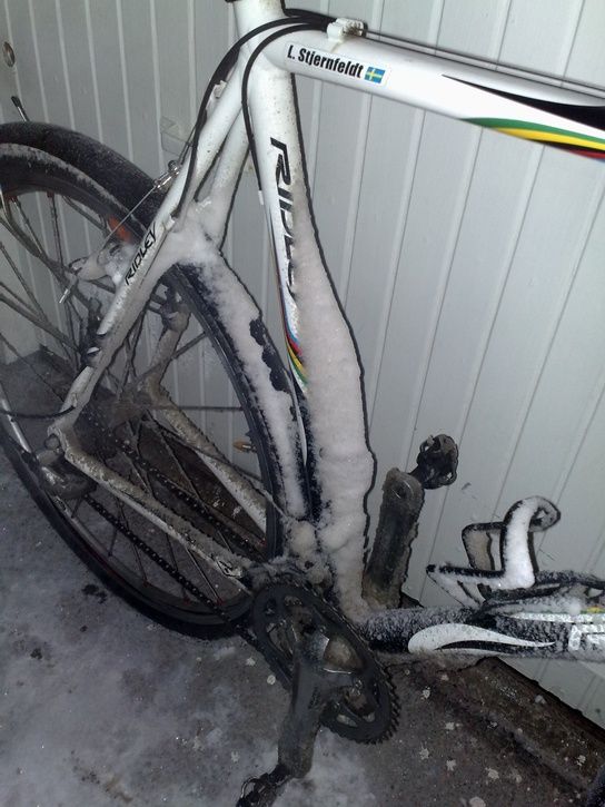 20090108084.jpg ht=725