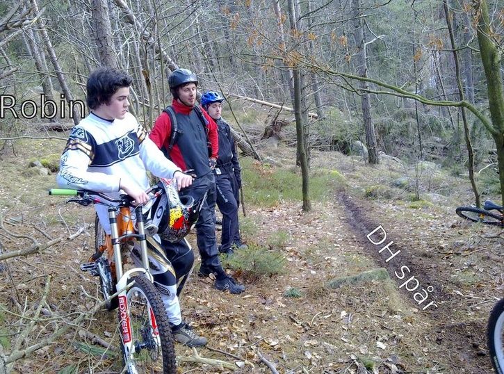 20090228824.jpg ht=538