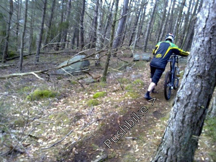 20090228826.jpg ht=544