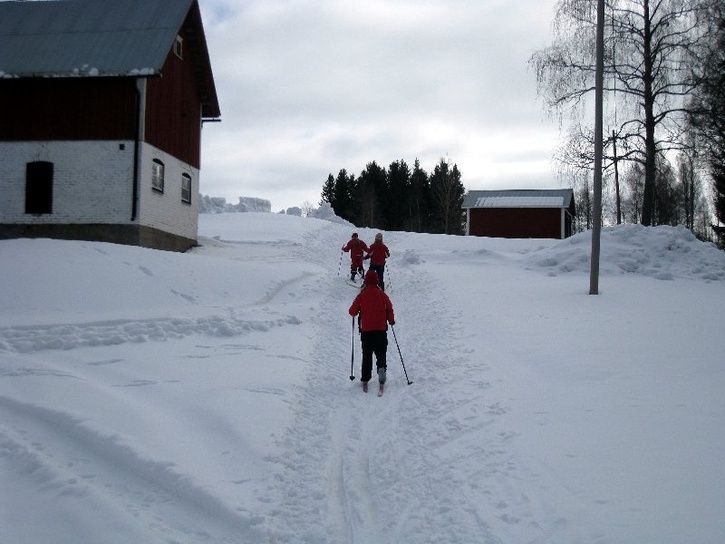 20090315-007800x600.jpg ht=544