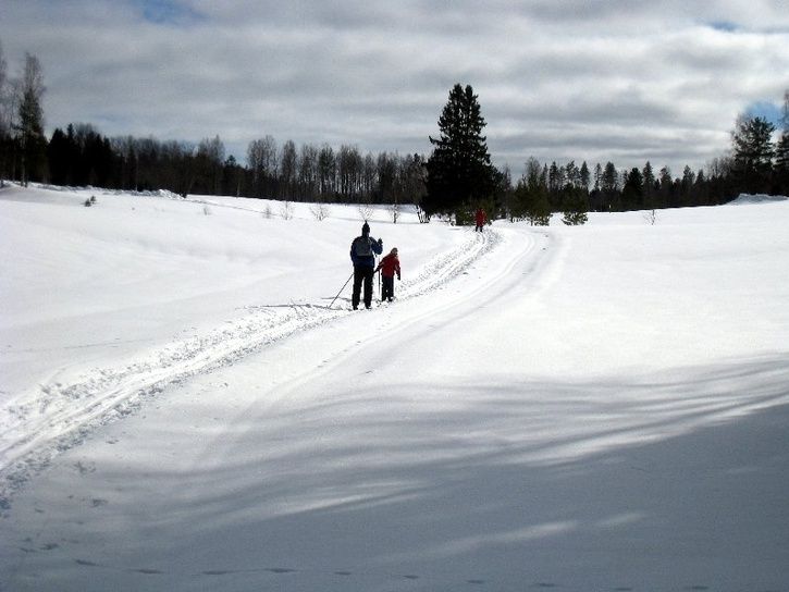 20090315-010800x600.jpg ht=544