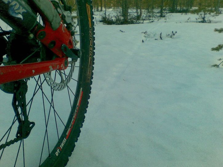 20090421004.jpg ht=544