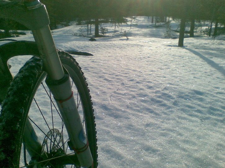 20090421005.jpg ht=544