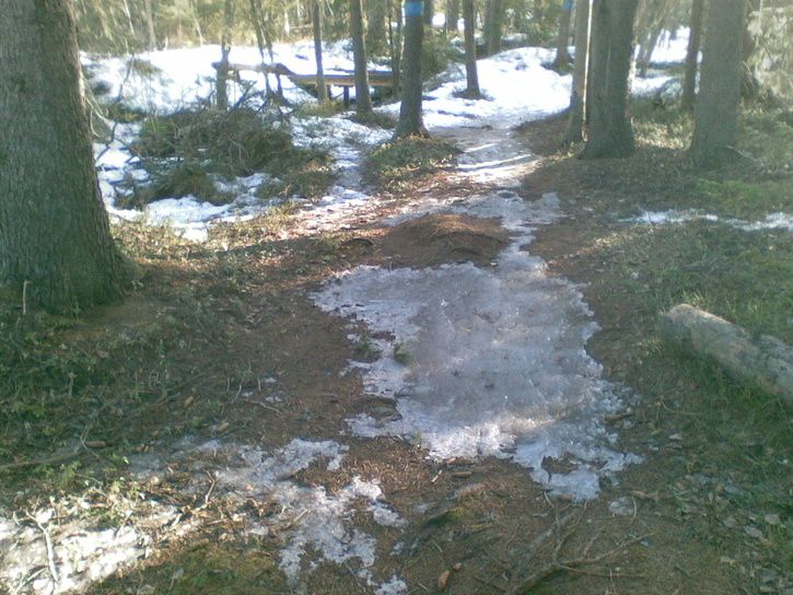 20090421008.jpg ht=544