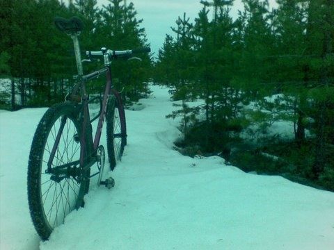 20090424002.jpg ht=360