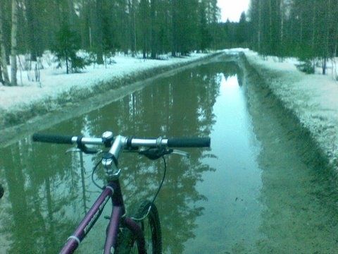 20090424003.jpg ht=360