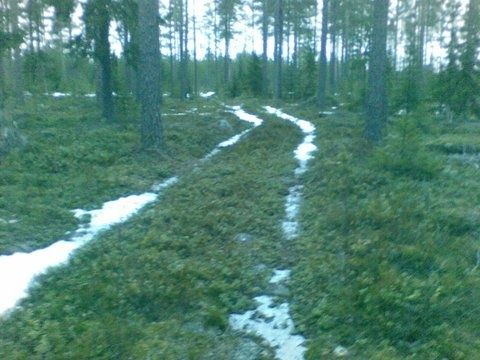 20090424005.jpg ht=360