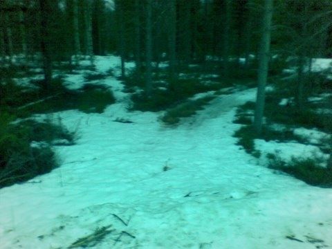 20090424006.jpg ht=360