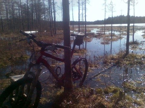 20090430.jpg ht=360