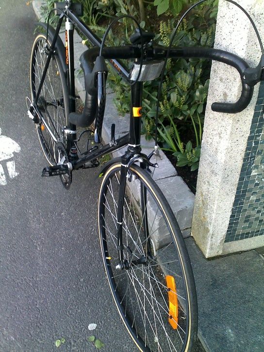 20090508017.jpg ht=725
