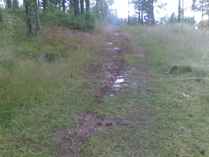 20090711002.jpg ht=544