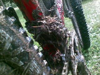 20090712008.jpg ht=240