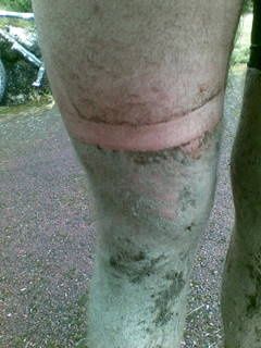 20090712010.jpg ht=320