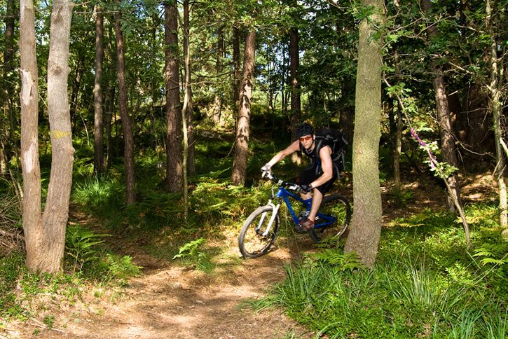 20090808-IMG_8455.jpg ht=484