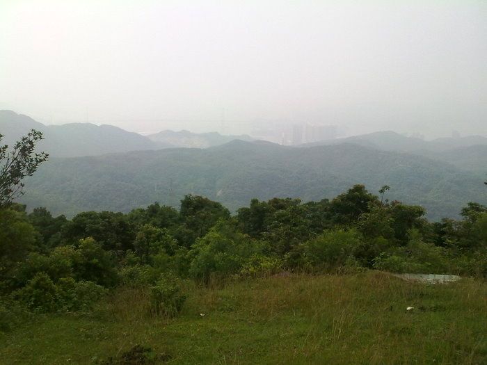 20090830025.jpg ht=525