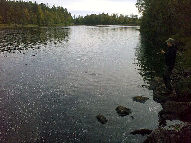 20090911450.jpg ht=480