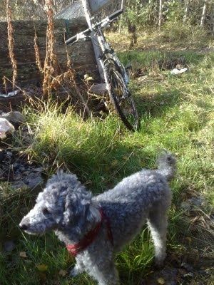 20091009364.jpg ht=400