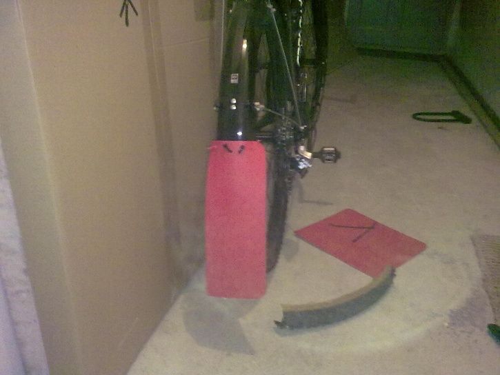 20091204376.jpg ht=544