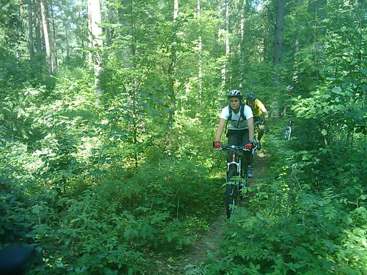 2010-07-03-11.29.53.jpg ht=544