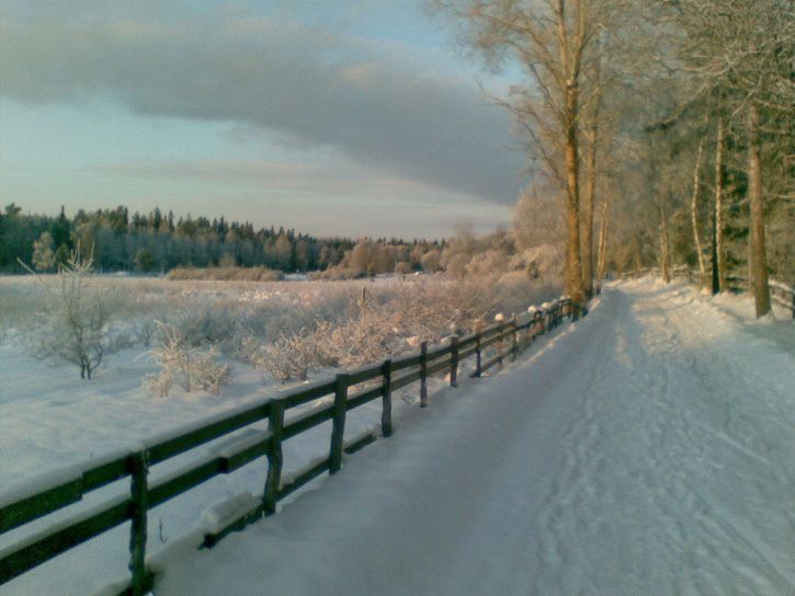 201001010021.jpg ht=544