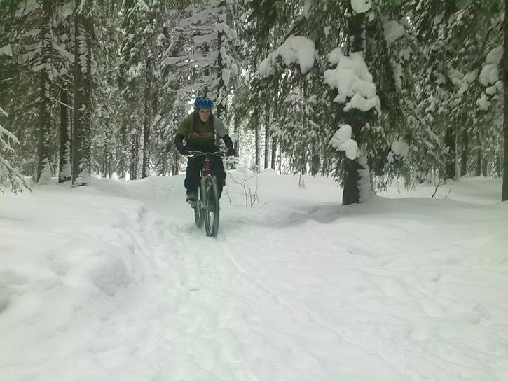 20100227028.jpg ht=544