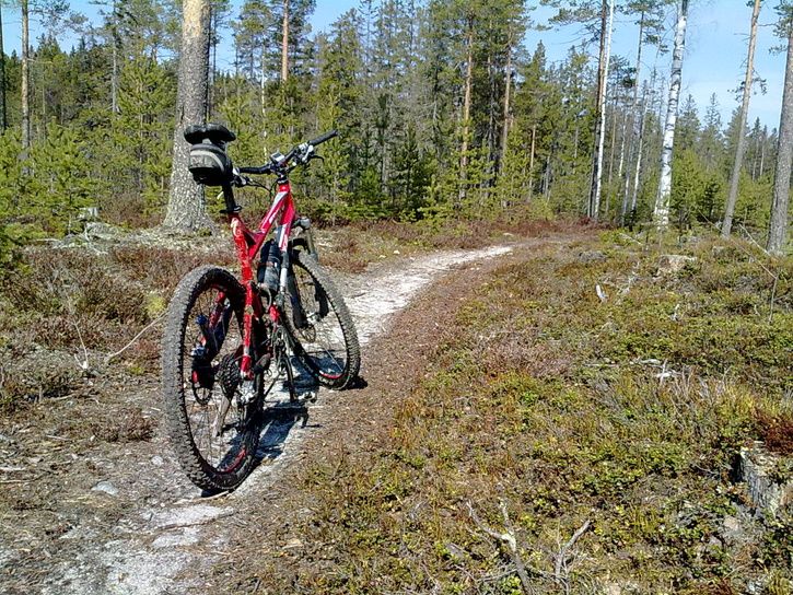 20100513124.jpg ht=544