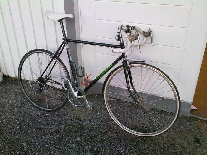 20100530155.jpg ht=525
