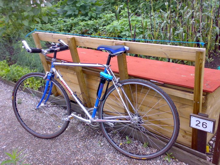 20100808085.jpg ht=544