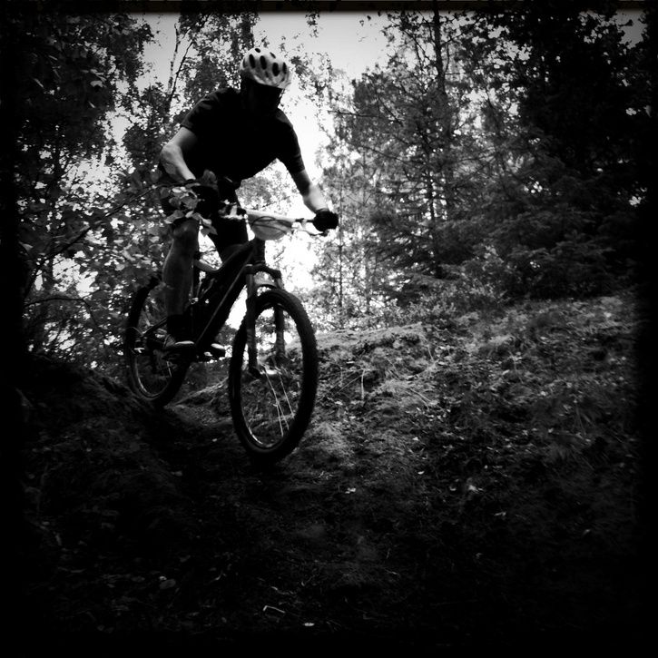 20100910011.jpg ht=725