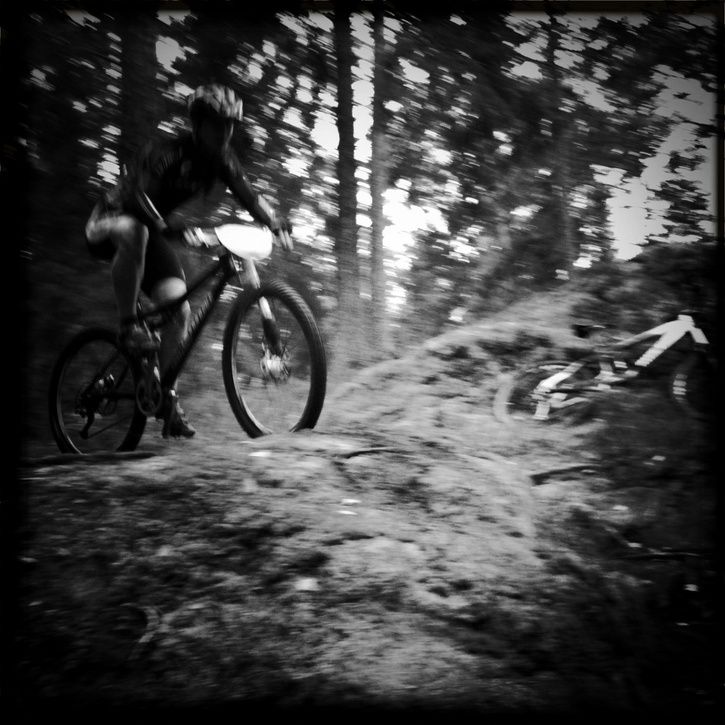 20100910025.jpg ht=725
