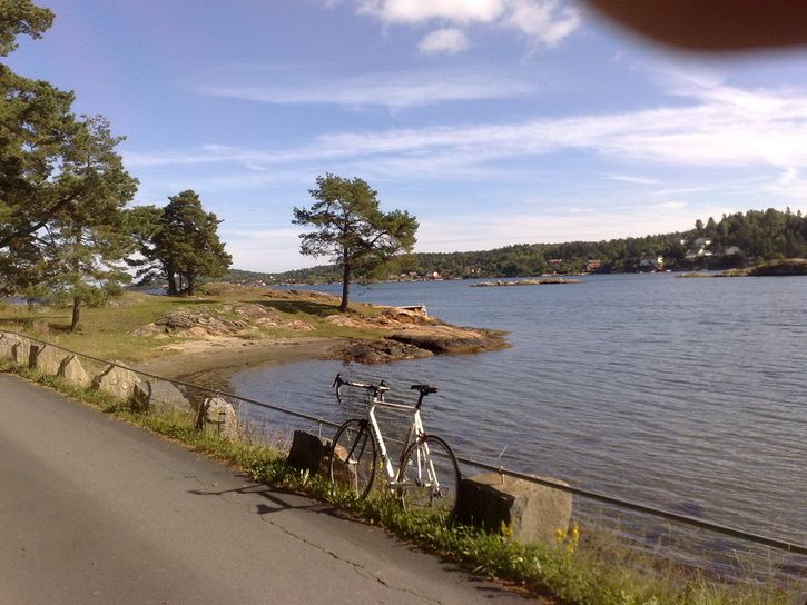 20100912454.jpg ht=544