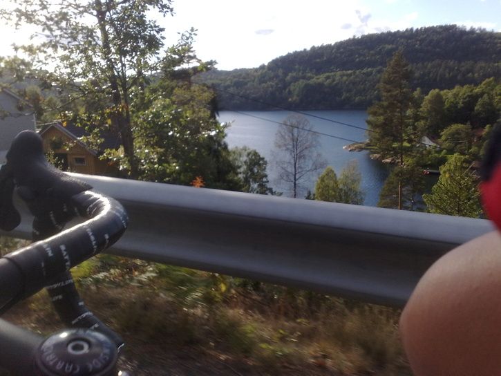 20100912472.jpg ht=544