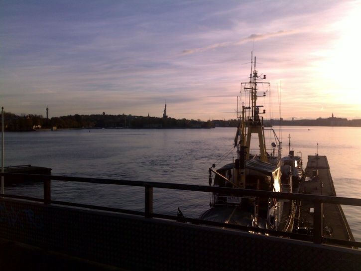 20101018144.jpg ht=544